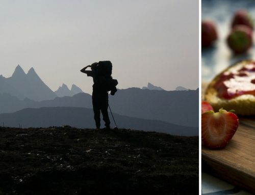 ALIMENTAZIONE in Montagna