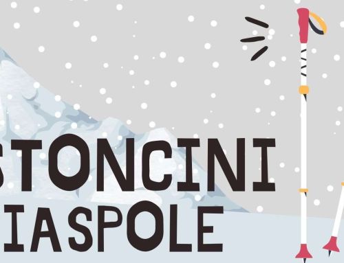 Bastoncini per CIASPOLE