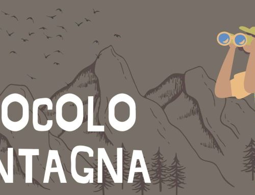 Come scegliere un BINOCOLO da Montagna [Guida 2025]