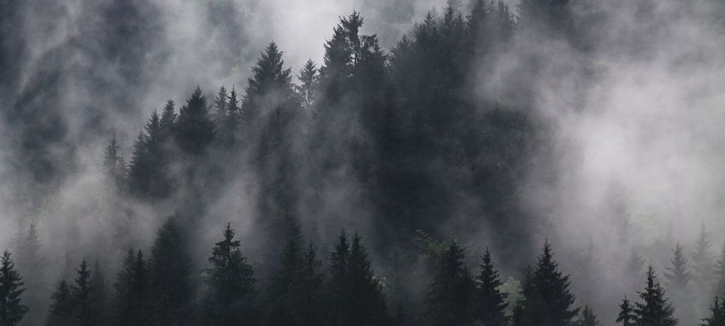 come comportarsi con la nebbia in montagna